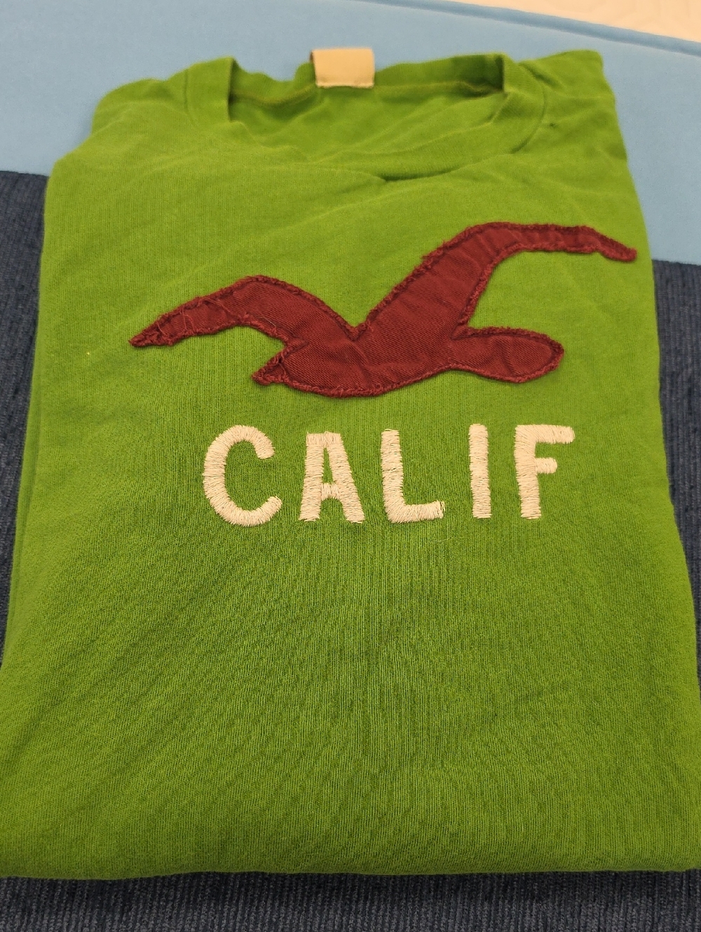 Vintage Hollister Green 'CALIF' Tee with Maroon Seagull Size L• Adorable! Unisex